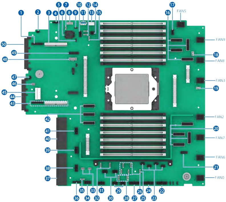 figure p36