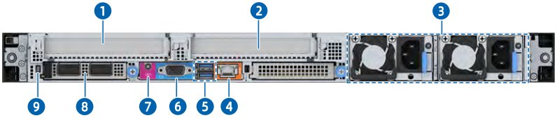 figure p21