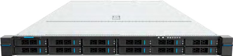 figure p11