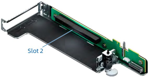figure p53