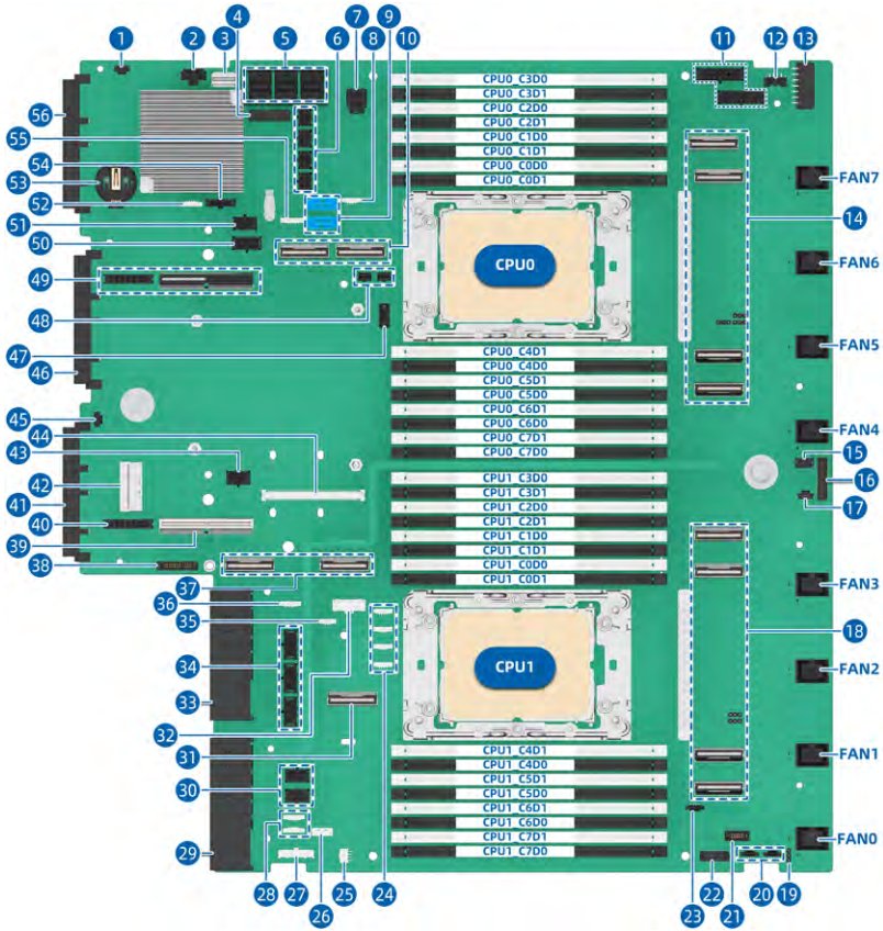 figure p62