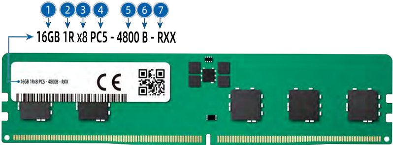 figure p26