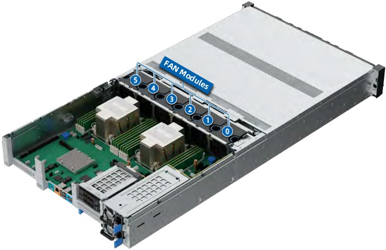 figure p40