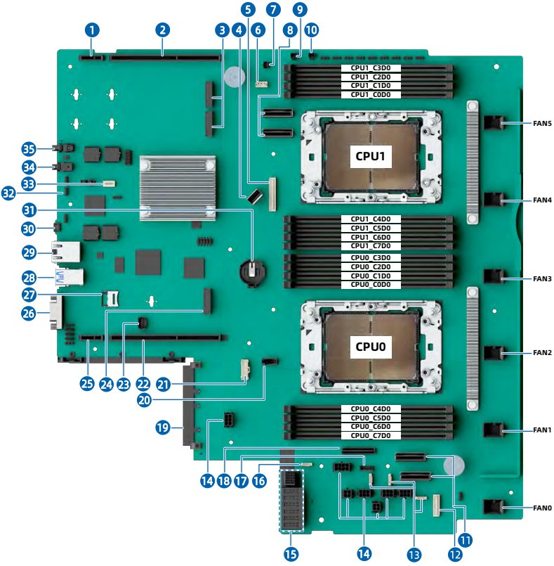 figure p41