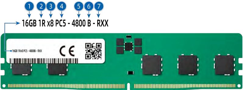 figure p30