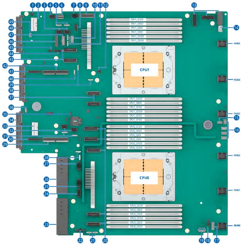 figure p60