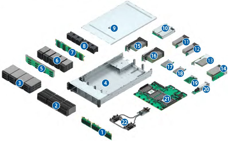figure p21