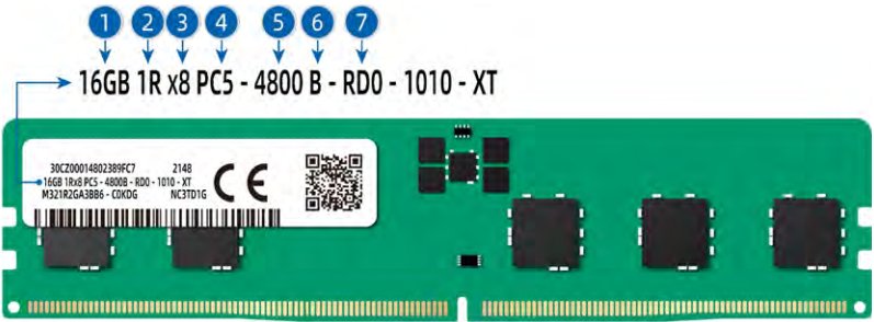 figure p42