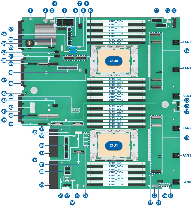figure p79