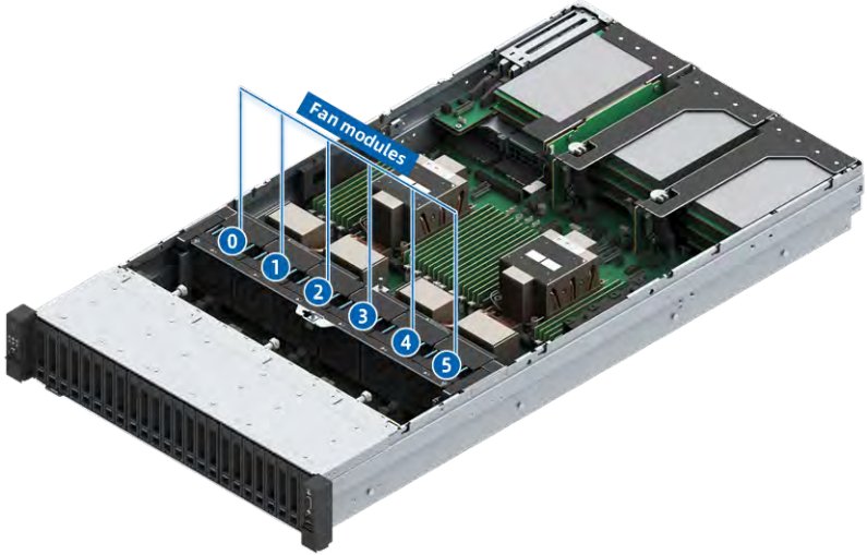 figure p52