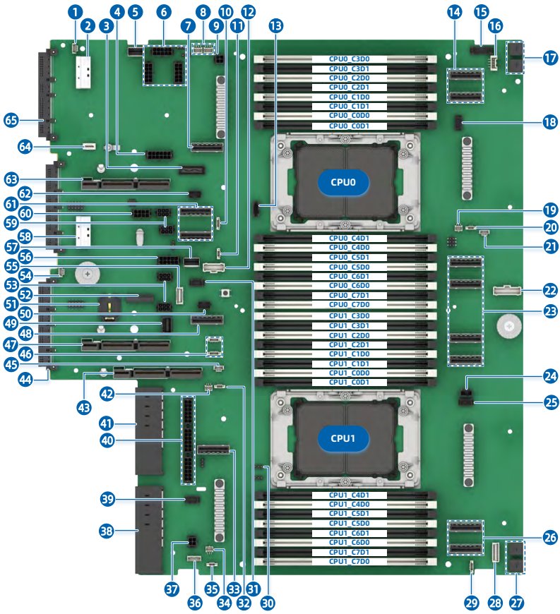 figure p55