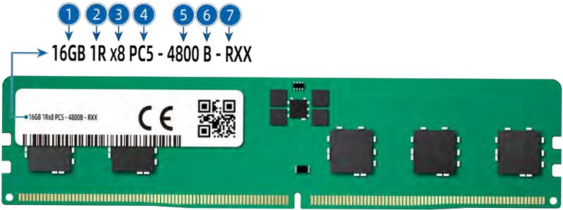 figure p30