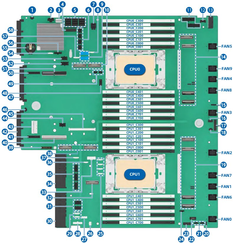 figure p64