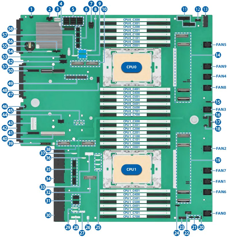 figure p66